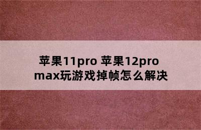 苹果11pro 苹果12pro max玩游戏掉帧怎么解决